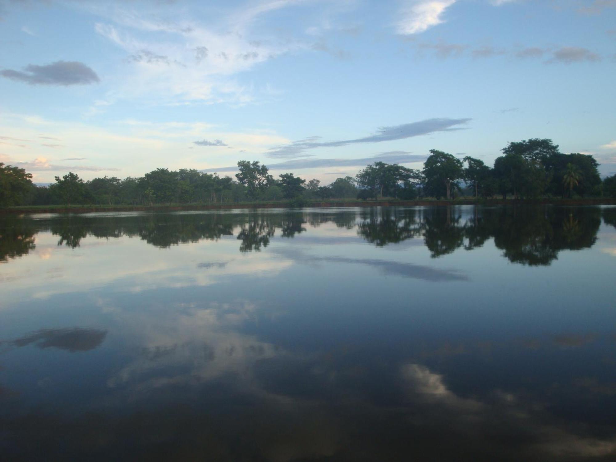 Isla Violin Eco-Lodge Драке Экстерьер фото