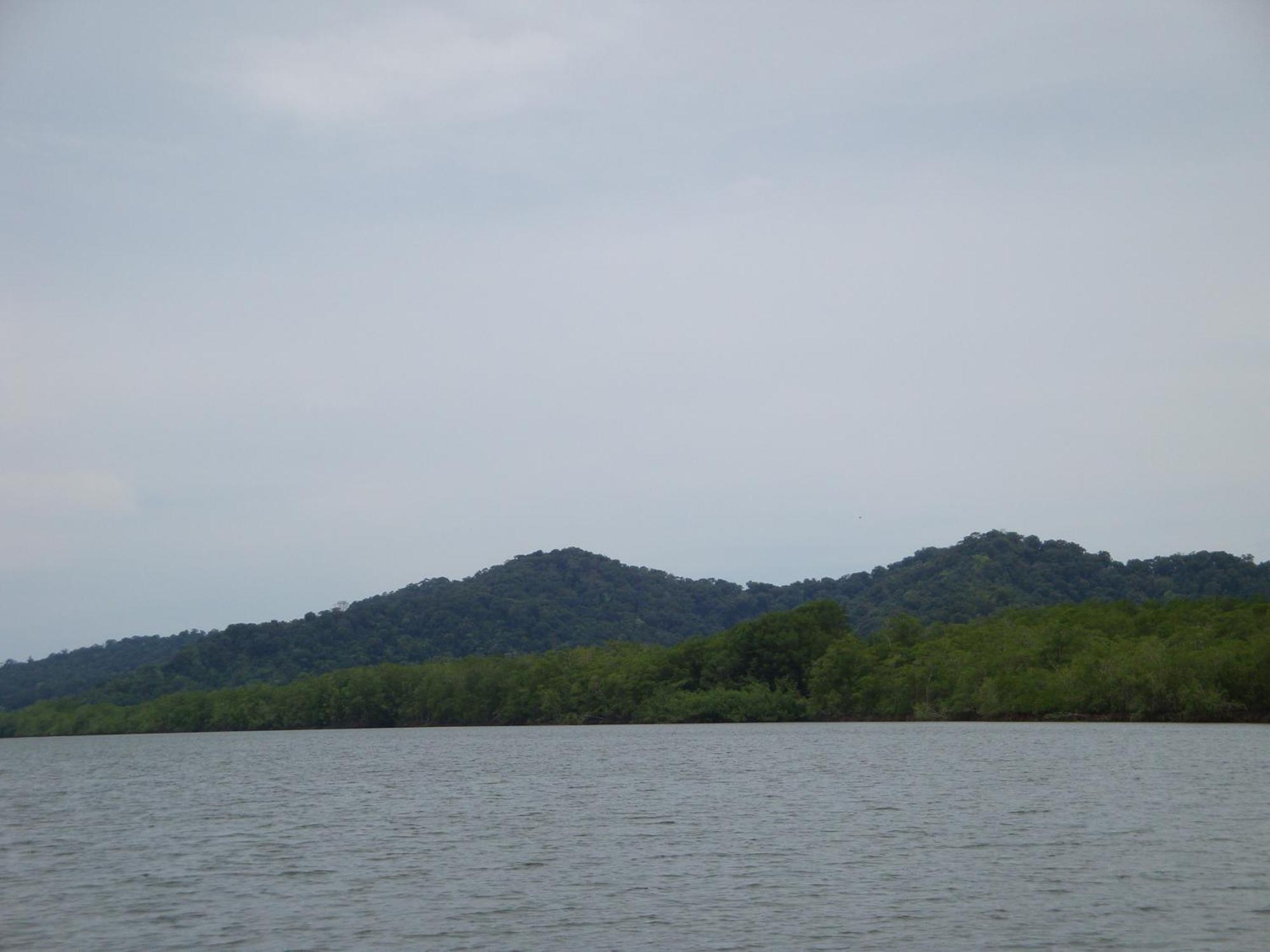 Isla Violin Eco-Lodge Драке Экстерьер фото